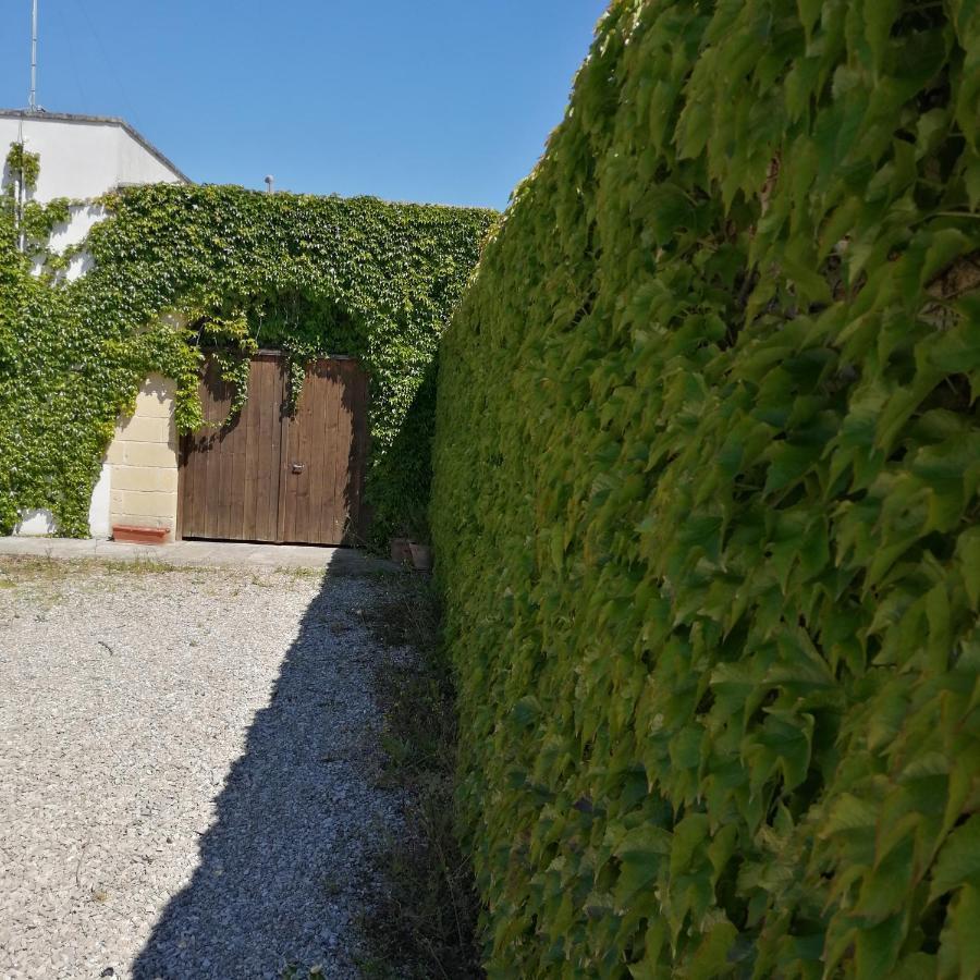 B&B Villasalento Le Cavallino di Lecce Bagian luar foto
